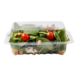 Salad Containers