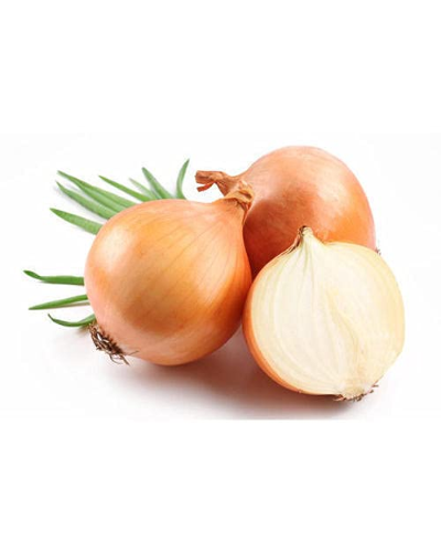 items Images-32-SpanishOnion