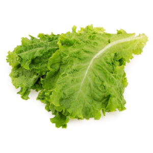 Fresh Lettuce- 1 Box