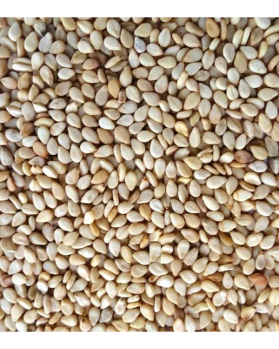 items Images-9-sesameseeds